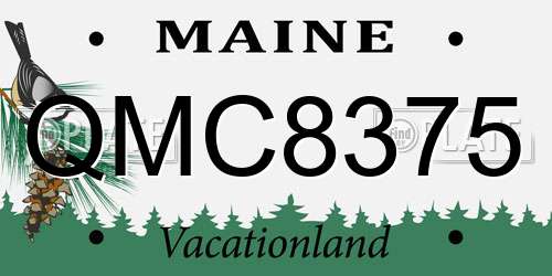 QMC8375 Maine License Plate