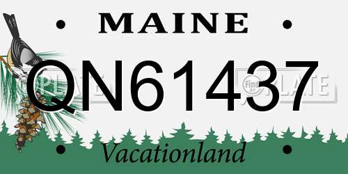 QN61437 Maine License Plate