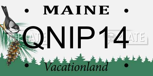 QNIP14 Maine License Plate