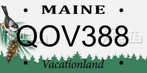 QOV388 Maine License Plate
