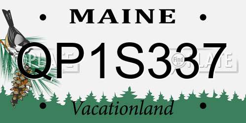 QP1S337 Maine License Plate