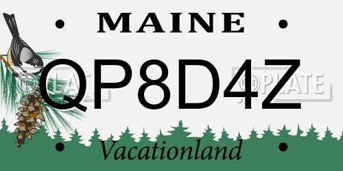 QP8D4Z Maine License Plate