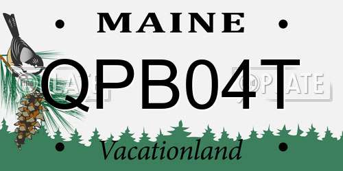 QPB04T Maine License Plate