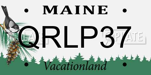 QRLP37 Maine License Plate