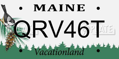 QRV46T Maine License Plate