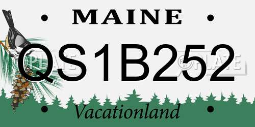 QS1B252 Maine License Plate
