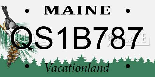 QS1B787 Maine License Plate