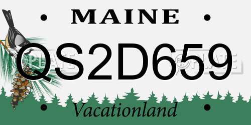 QS2D659 Maine License Plate
