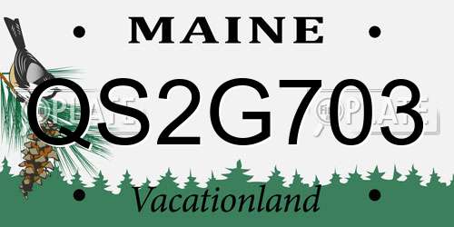 QS2G703 Maine License Plate