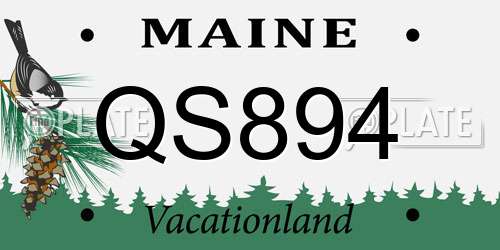 QS894 Maine License Plate