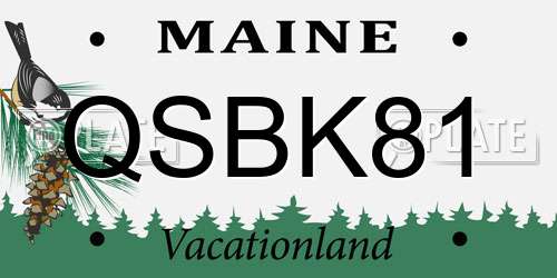 QSBK81 Maine License Plate