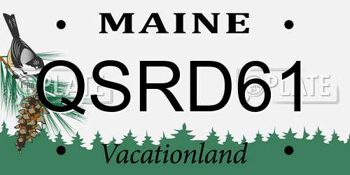 QSRD61 Maine License Plate