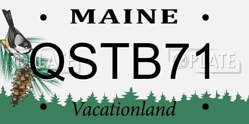 QSTB71 Maine License Plate