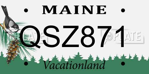 QSZ871 Maine License Plate