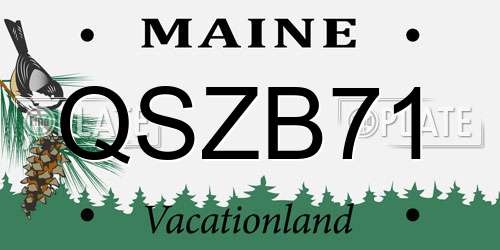 QSZB71 Maine License Plate