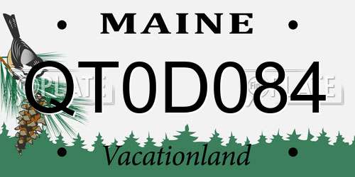 QT0D084 Maine License Plate