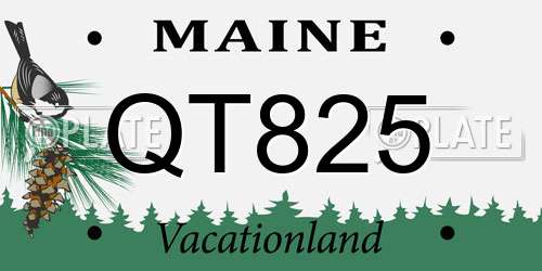 QT825 Maine License Plate