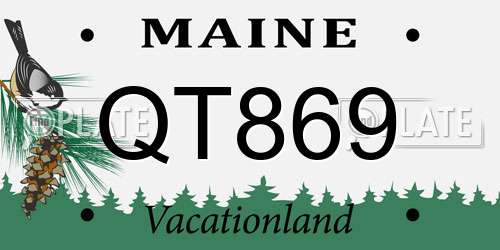 QT869 Maine License Plate