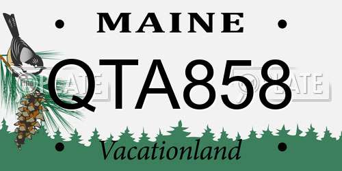 QTA858 Maine License Plate