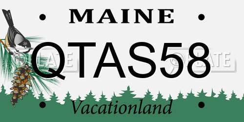 QTAS58 Maine License Plate