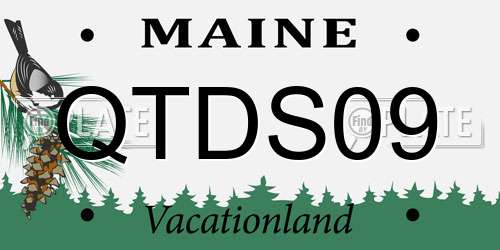 QTDS09 Maine License Plate