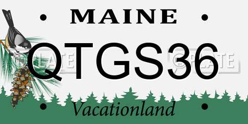 QTGS36 Maine License Plate