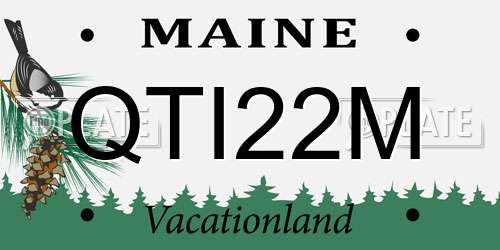 QTI22M Maine License Plate
