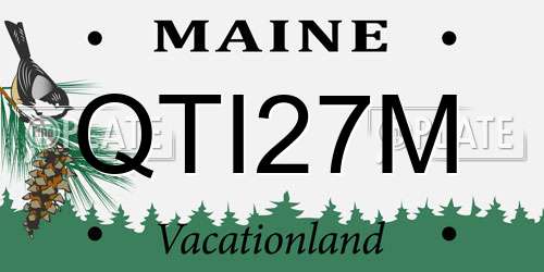 QTI27M Maine License Plate