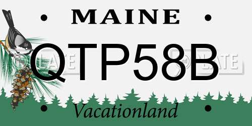 QTP58B Maine License Plate