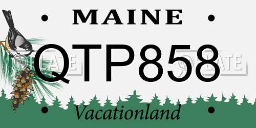 QTP858 Maine License Plate