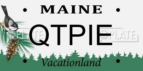 QTPIE Maine License Plate