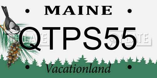 QTPS55 Maine License Plate