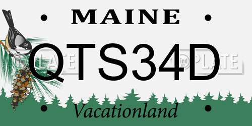 QTS34D Maine License Plate