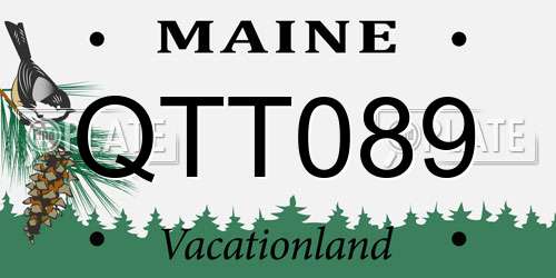 QTT089 Maine License Plate