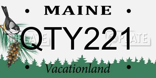 QTY221 Maine License Plate