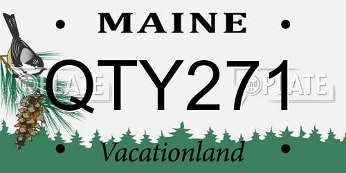 QTY271 Maine License Plate