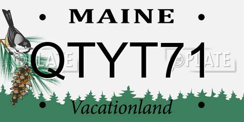 QTYT71 Maine License Plate