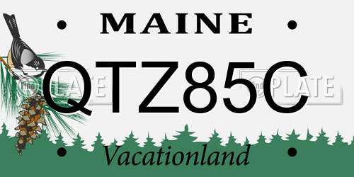 QTZ85C Maine License Plate
