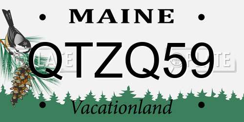 QTZQ59 Maine License Plate