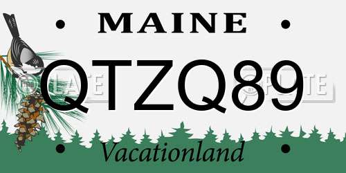 QTZQ89 Maine License Plate