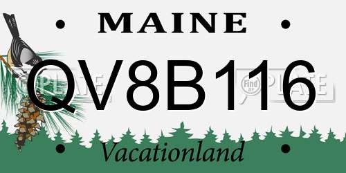 QV8B116 Maine License Plate