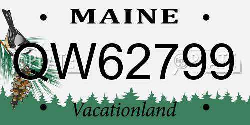 QW62799 Maine License Plate