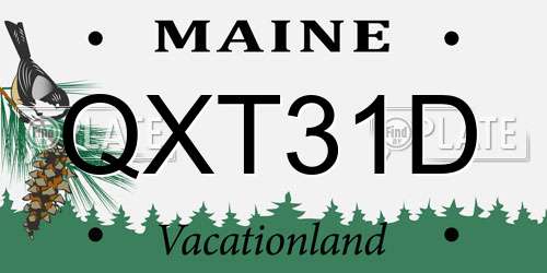QXT31D Maine License Plate
