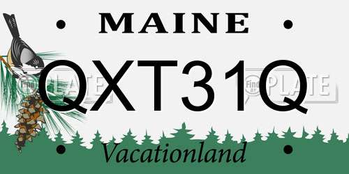 QXT31Q Maine License Plate