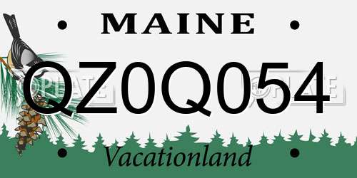 QZ0Q054 Maine License Plate