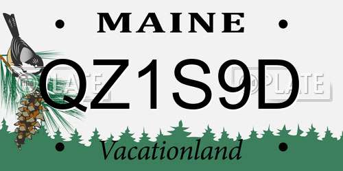 QZ1S9D Maine License Plate
