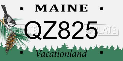 QZ825 Maine License Plate