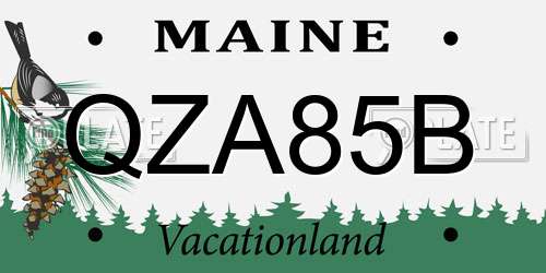 QZA85B Maine License Plate