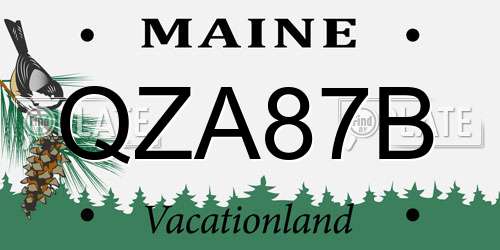 QZA87B Maine License Plate
