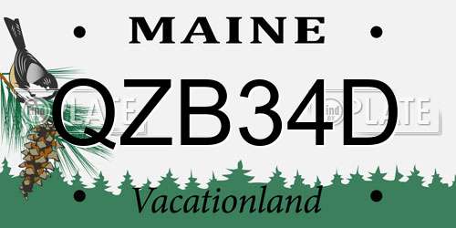 QZB34D Maine License Plate